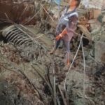 Globe Fiber Cable Cuts